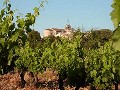 Chablis